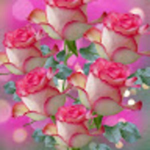 Meet your Posher, Jayne